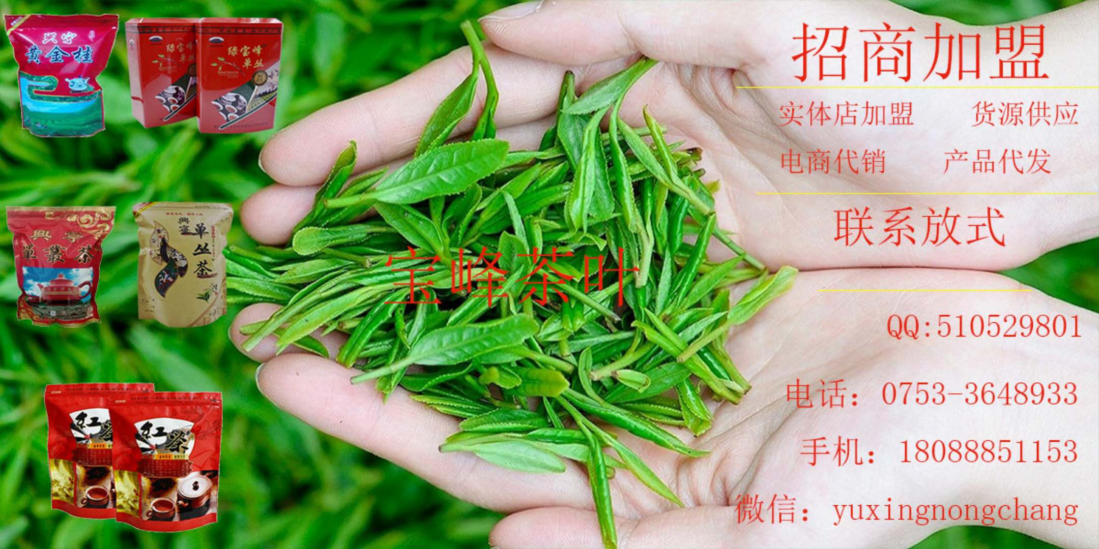 我司成功签约兴宁市宝峰茶叶种植专业合作社――网站建设服务